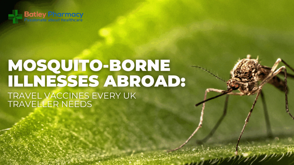 Mosquito-Borne Illnesses Abroad: Travel Vaccines Every UK Traveller Needs